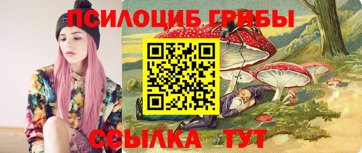 Псилоцибиновые грибы мицелий  Вход с VPN  Новозыбков 